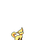 Raposa